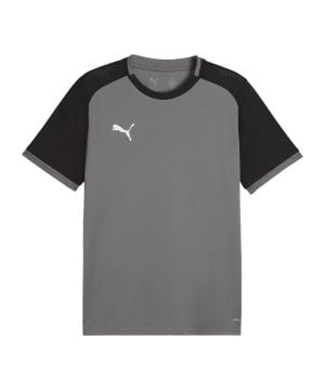 puma-teamliga26-matchday-trikot-grau-f13-706544-teamsport_front.png