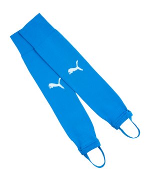 puma-teamliga26-socken-blau-f02-707095-teamsport_front.png