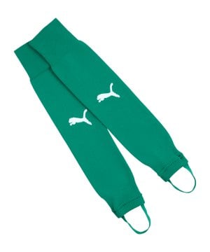 puma-teamliga26-socken-gruen-f05-707095-teamsport_front.png