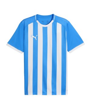 puma-teamliga26-striped-trikot-blau-f02-706550-teamsport_front.png