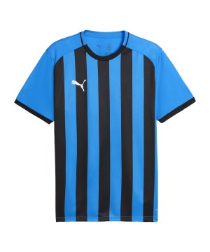 puma-teamliga26-striped-trikot-blau-f12-706550-teamsport_front.png