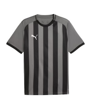 puma-teamliga26-striped-trikot-grau-f13-706550-teamsport_front.png