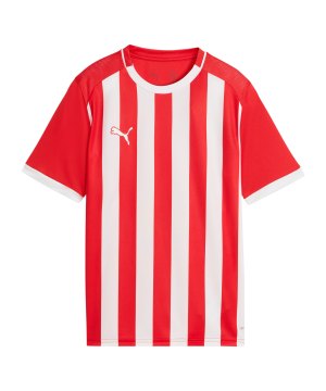puma-teamliga26-striped-trikot-kids-rot-f01-706551-teamsport_front.png