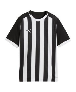 puma-teamliga26-striped-trikot-kids-schwarz-f03-706551-teamsport_front.png