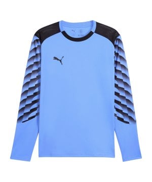 puma-teamliga26-torwarttrikot-langarm-blau-f31-706547-teamsport_front.png