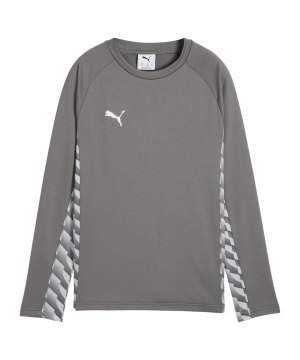 puma-teamliga26-training-sweatshirt-kids-grau-f13-660927-teamsport_front.png