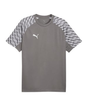 puma-teamliga26-trikot-grau-f13-659721-teamsport_front.png