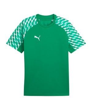 puma-teamliga26-trikot-gruen-f05-659721-teamsport_front.png