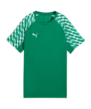 puma-teamliga26-trikot-kids-gruen-f05-659723-teamsport_front.png