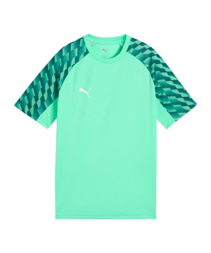 puma-teamliga26-trikot-kids-gruen-f80-659723-teamsport_front.png