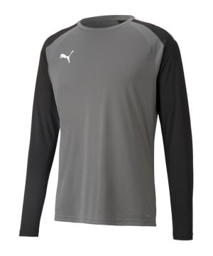 puma-teampacer-torwarttrikot-langarm-grau-f43-704933-teamsport_front.png