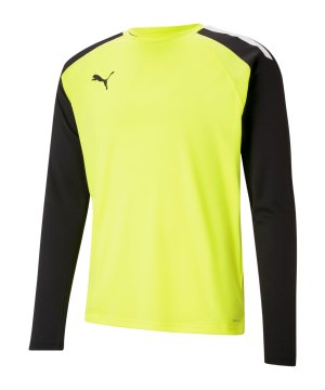 puma-teampacer-torwarttrikot-langarm-kids-f42-704939-teamsport_front.png