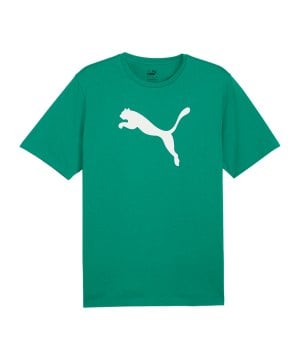 puma-teamrise-logo-trainingsshirt-gruen-f05-658705-teamsport_front.png