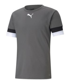 puma-teamrise-trikot-grau-f13-704932-teamsport_front.png