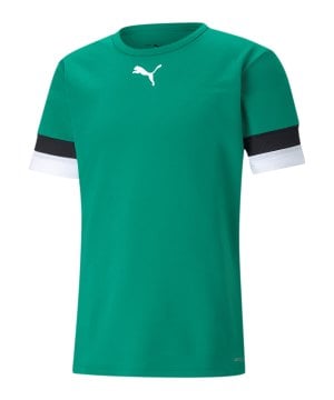 puma-teamrise-trikot-gruen-f05-704932-teamsport_front.png