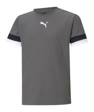 puma-teamrise-trikot-kids-grau-f13-704938-teamsport_front.png