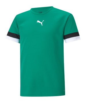 puma-teamrise-trikot-kids-gruen-f05-704938-teamsport_front.png