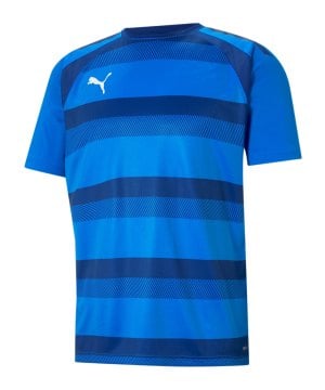 puma-teamvision-trikot-blau-f02-704921-teamsport_front.png
