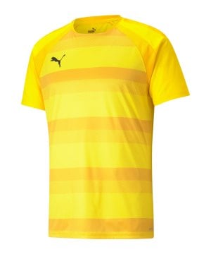 puma-teamvision-trikot-gelb-f07-704921-teamsport_front.png