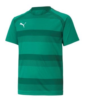 puma-teamvision-trikot-kids-gruen-f05-704928-teamsport_front.png