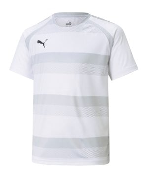 puma-teamvision-trikot-kids-weiss-grau-f04-704928-teamsport_front.png