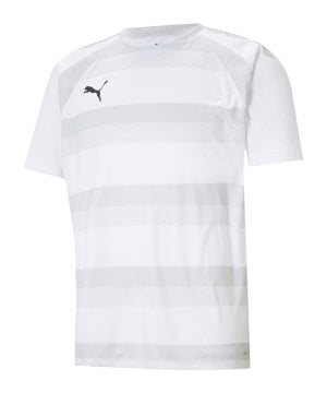 puma-teamvision-trikot-weiss-grau-f04-704921-teamsport_front.png