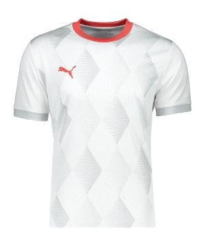puma-trikot-3rd-weiss-grau-f03-780531-teamsport_front.png