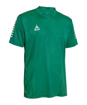 select-pisa-trikot-gruen-weiss-f444-62413-indoor-textilien_front.png