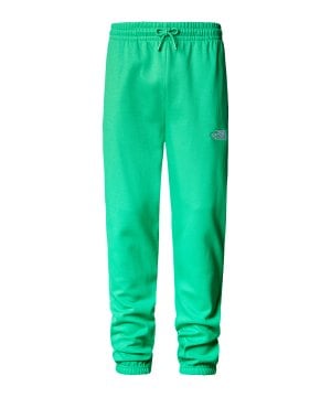 the-north-face-essentials-jogginghose-gruen-fpo8-nf0a7zjb-lifestyle_front.png
