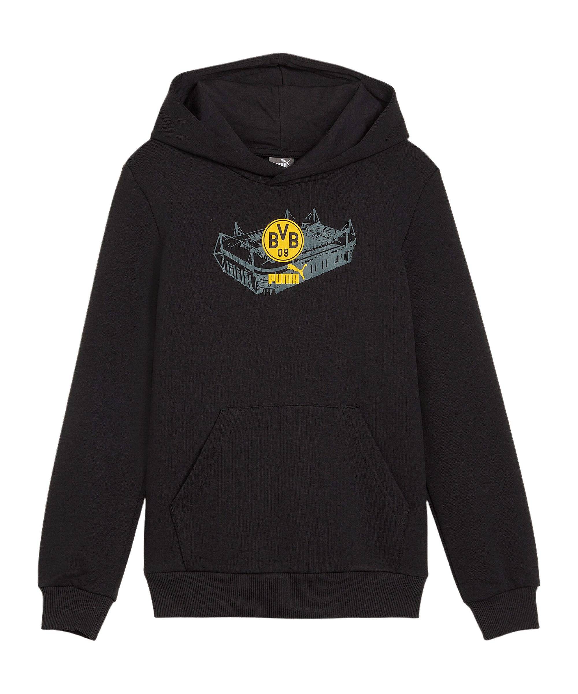 PUMA BVB Dortmund Ftbl ICONS Hoody Schwarz F03 - schwarz