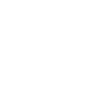 Shield Icon mit Checkhaken