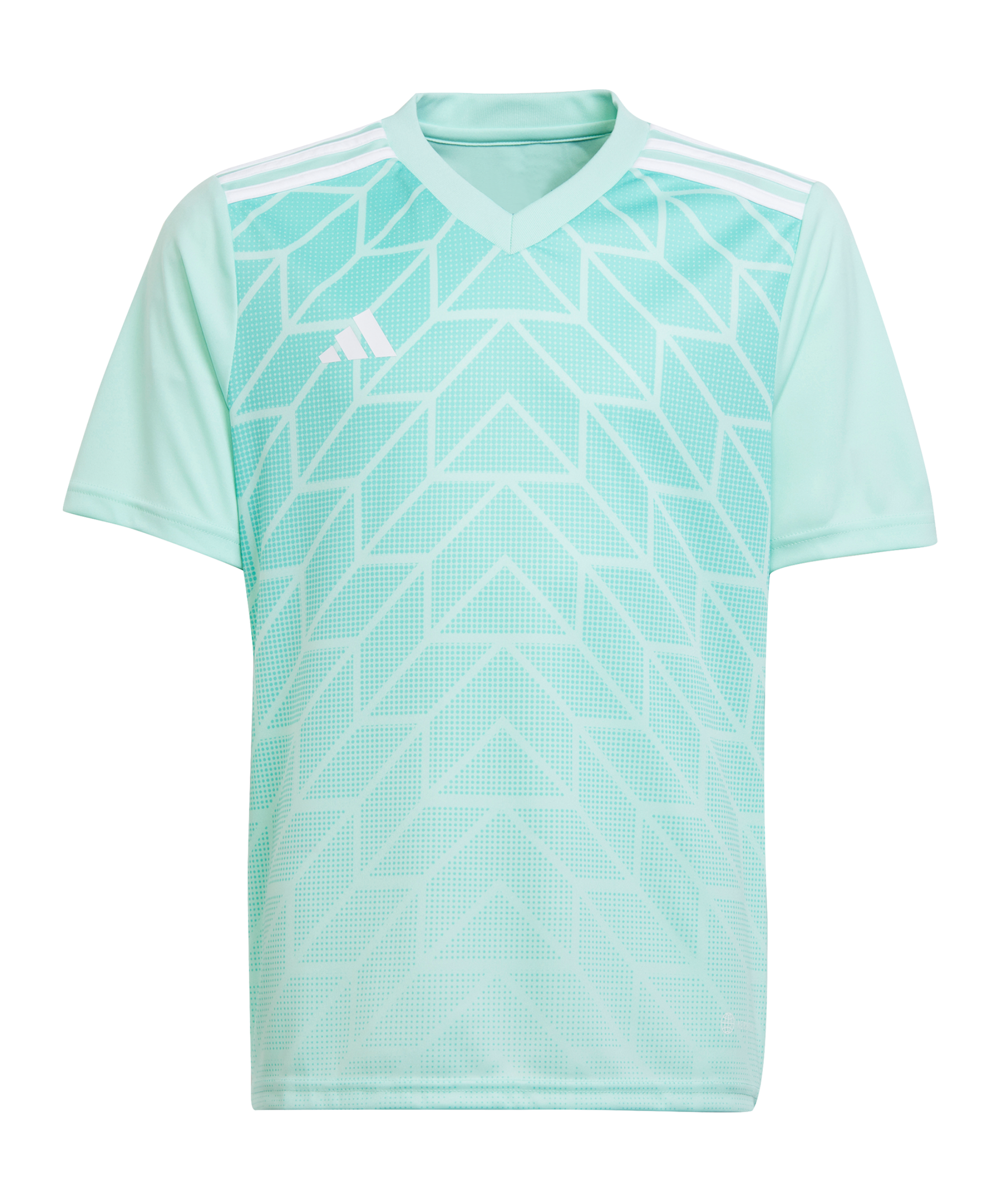 adidas Team Icon 23 Trikot Türkis - tuerkis