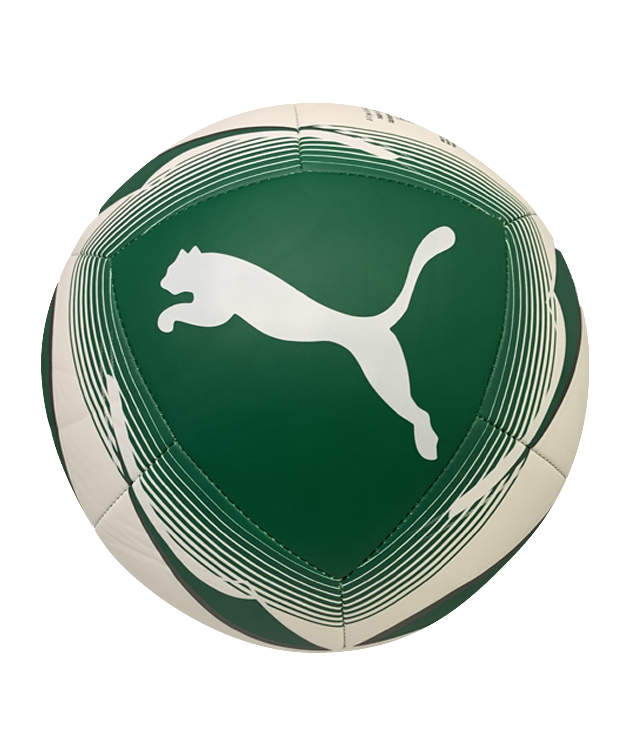 PUMA SK Rapid Wien Icon Ball Grün Weiss F01 - gruen
