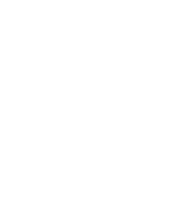 Canadian Maple Leaf as white outline representing understatement and purism