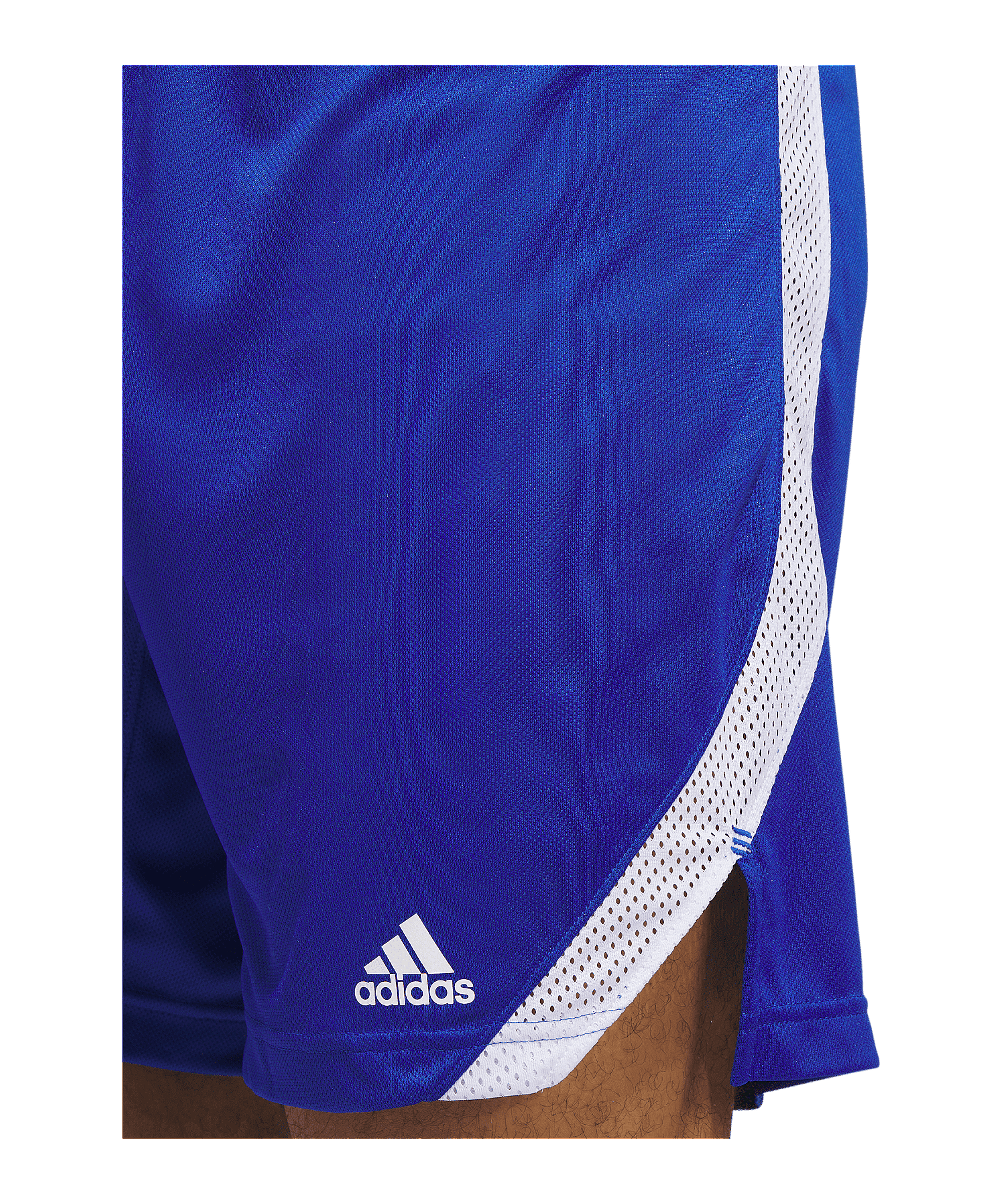 adidas Iconic Squad Short Blau - blau