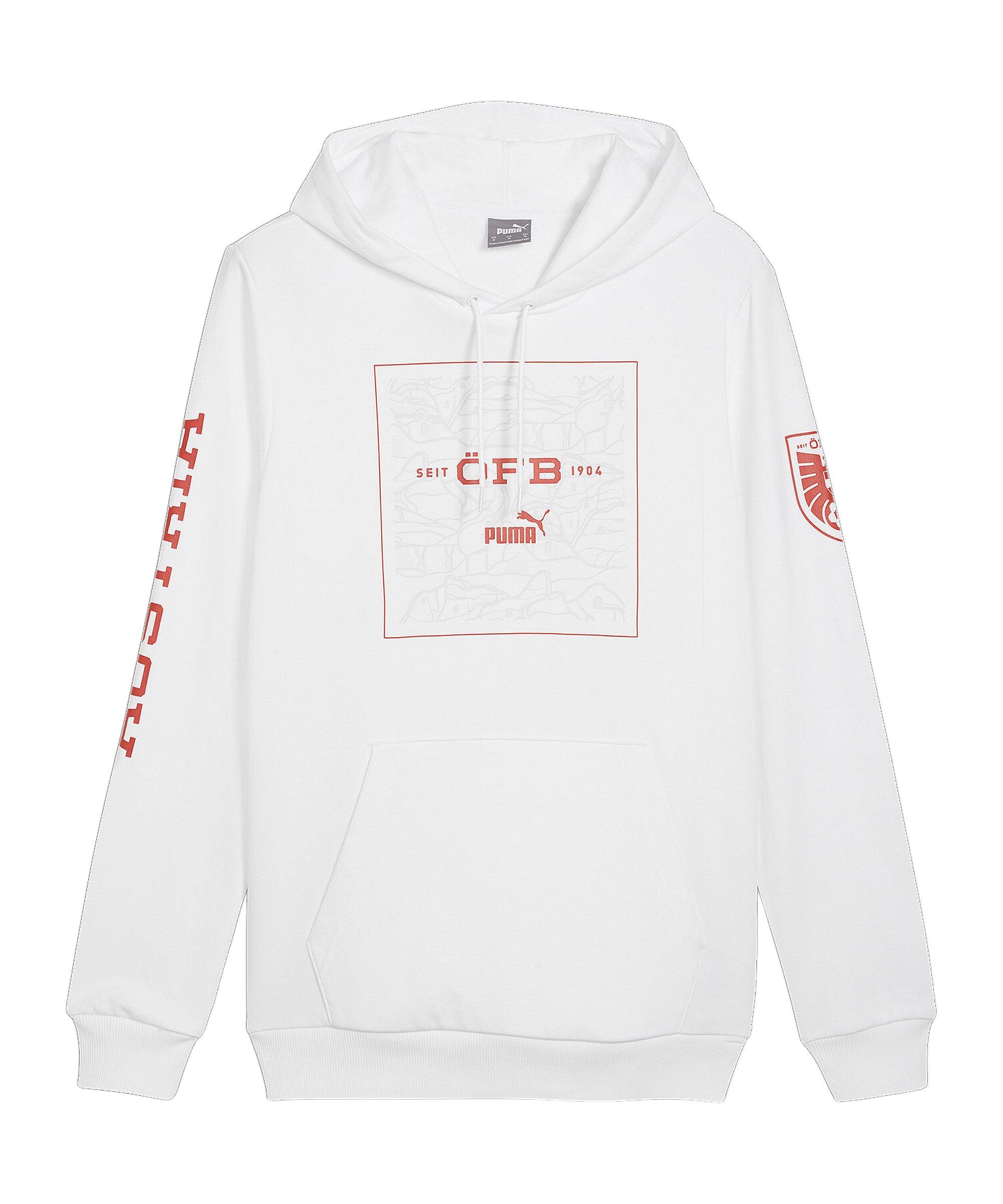 PUMA Österreich Ftbl Icons Hoody Weiss F09 - weiss