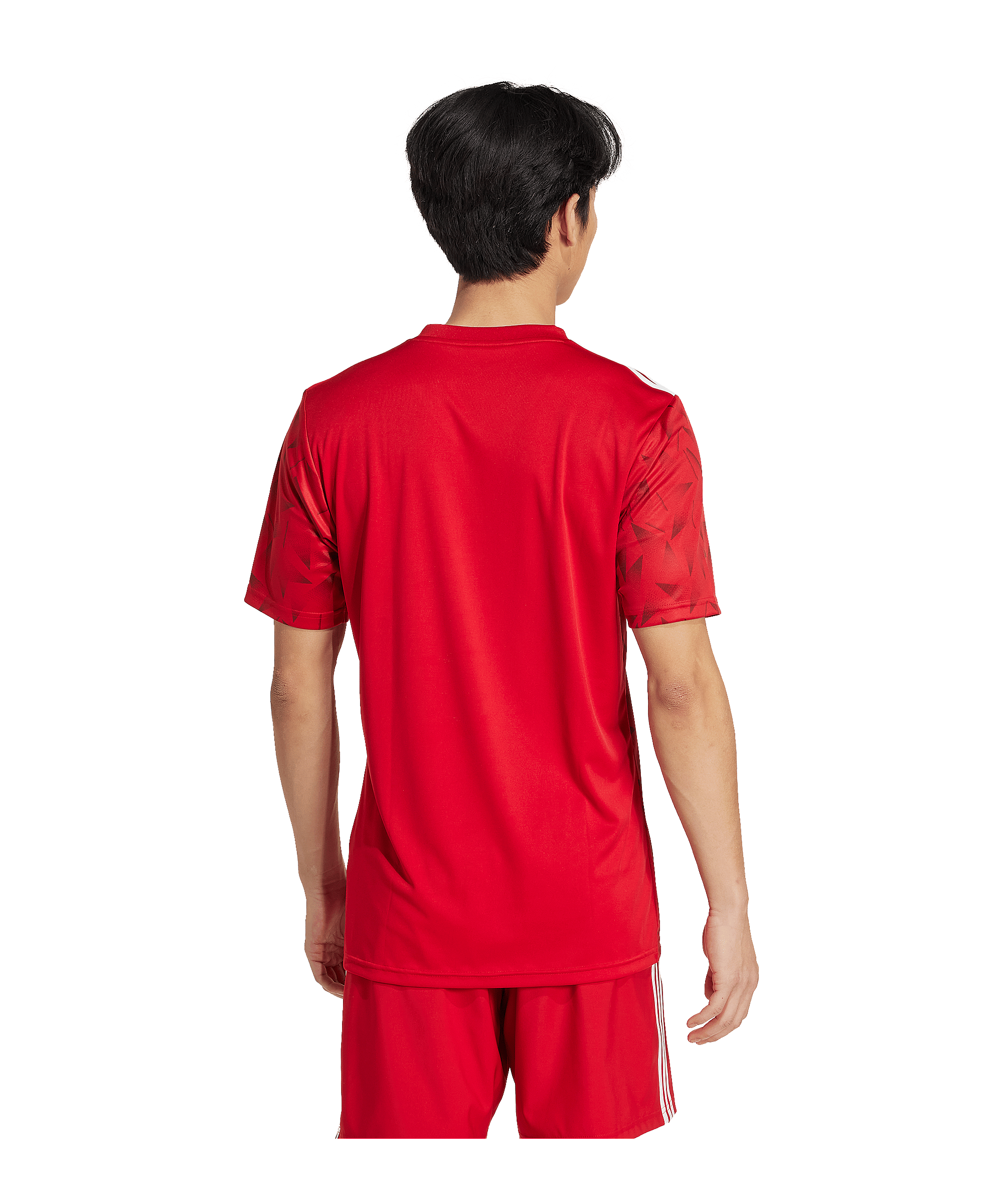 adidas Team Icon 25 Trikot Rot - rot