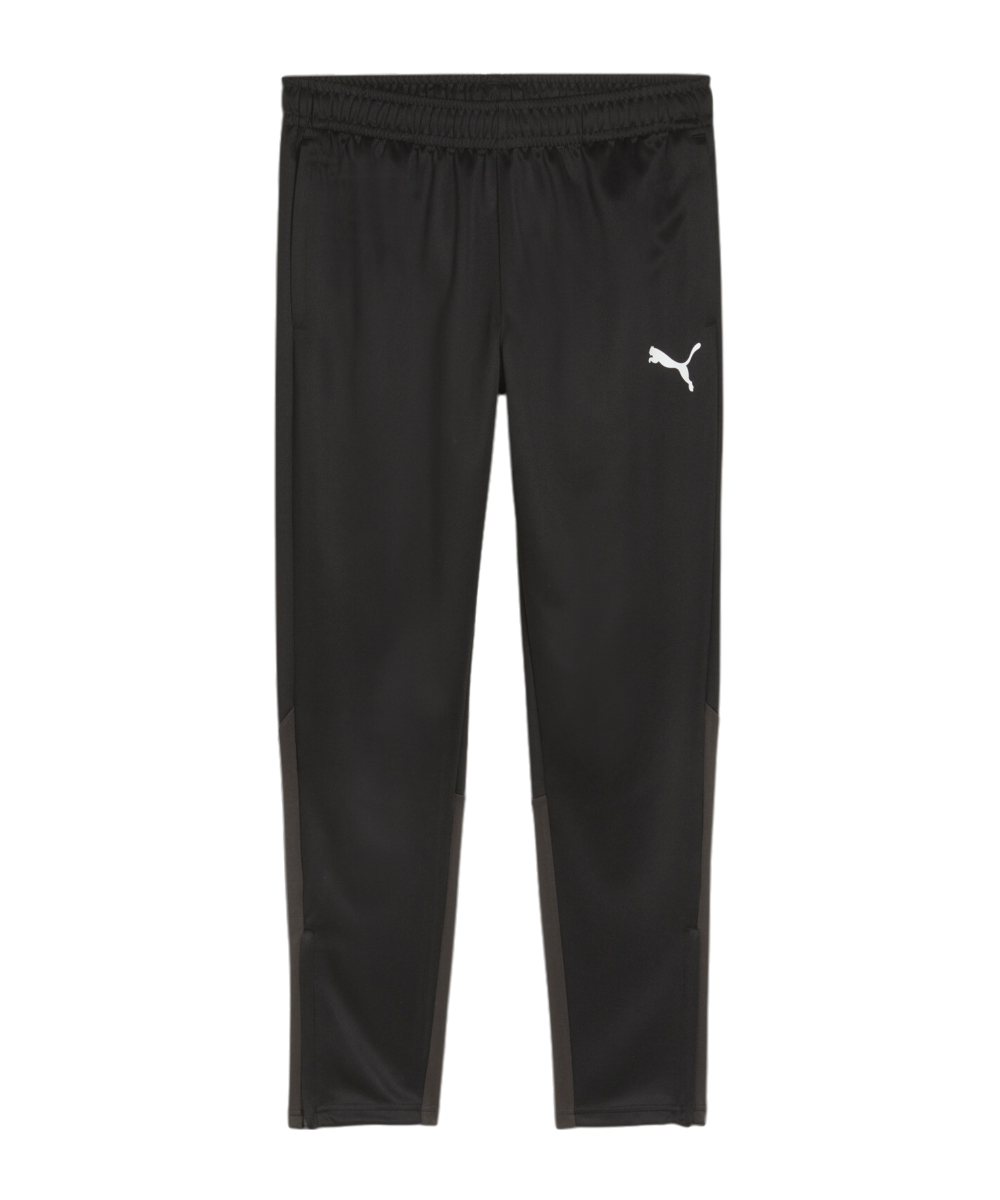 PUMA teamGOAL Training Jogginghose Schwarz F03 - schwarz