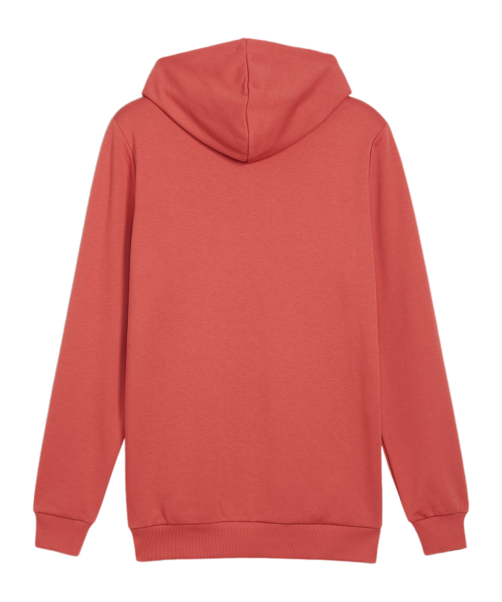 PUMA BVB Dortmund Ftbl ICONS Hoody Rot F04 - rot