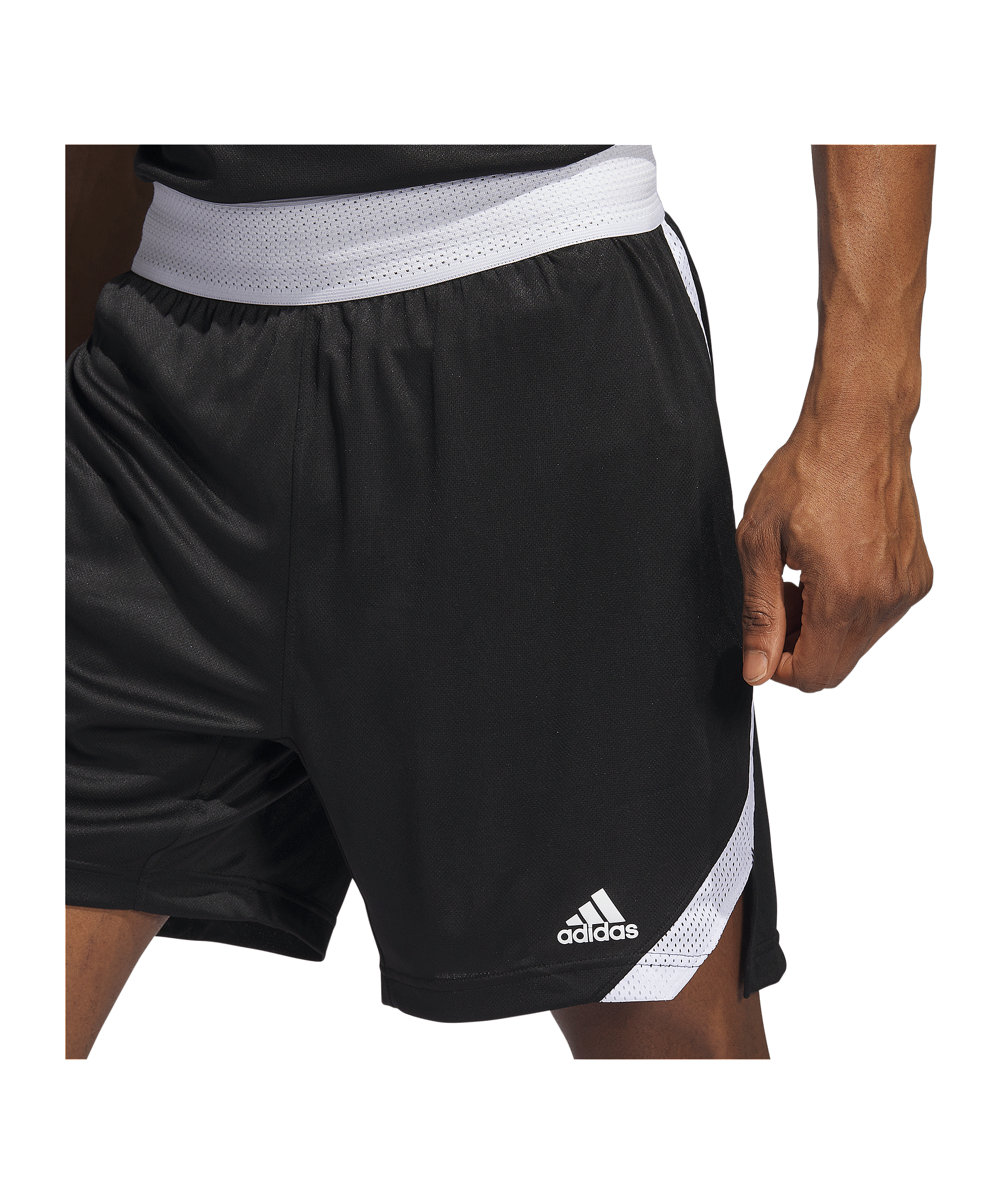 adidas Iconic Squad Short Schwarz - schwarz