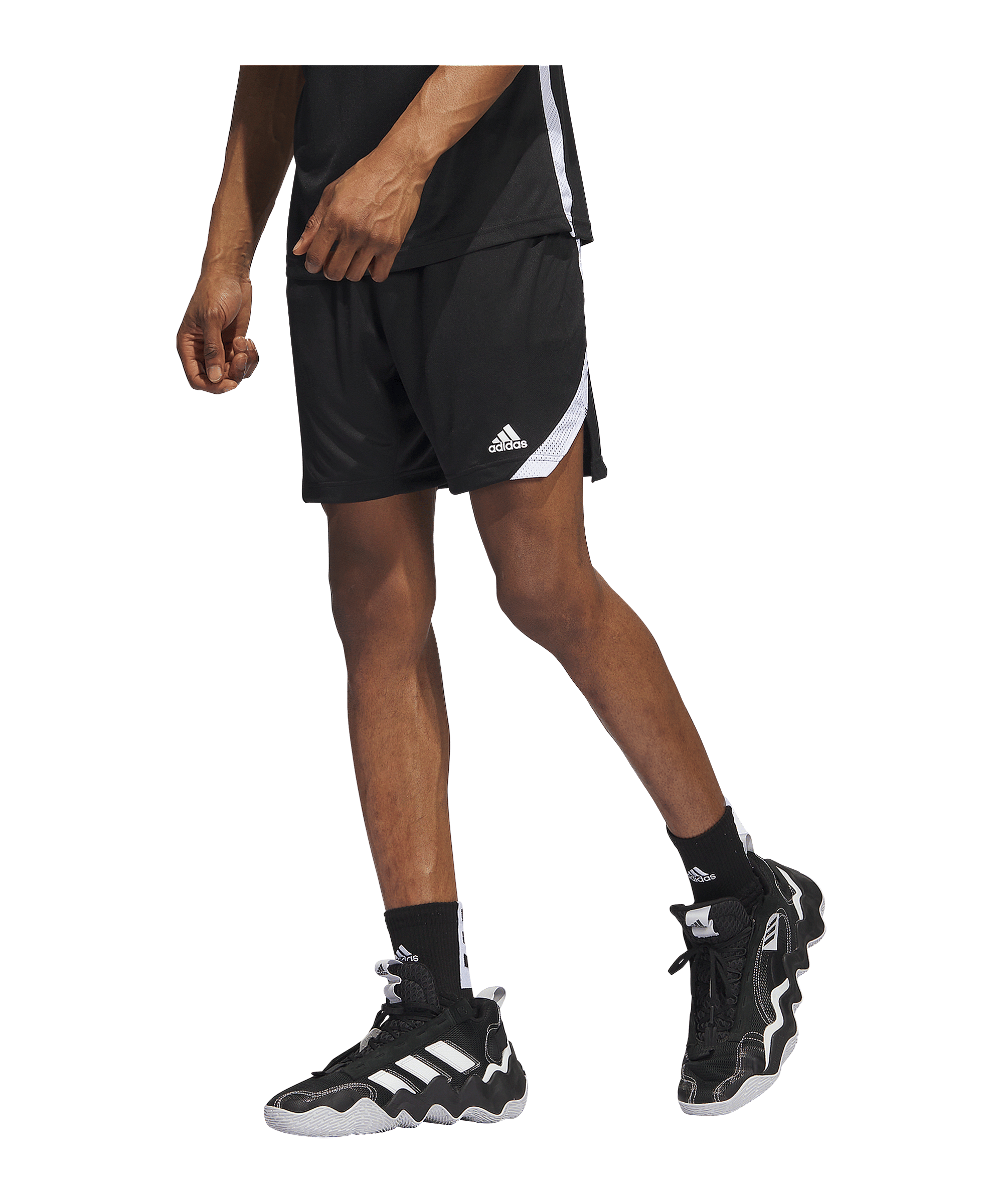 adidas Iconic Squad Short Schwarz - schwarz