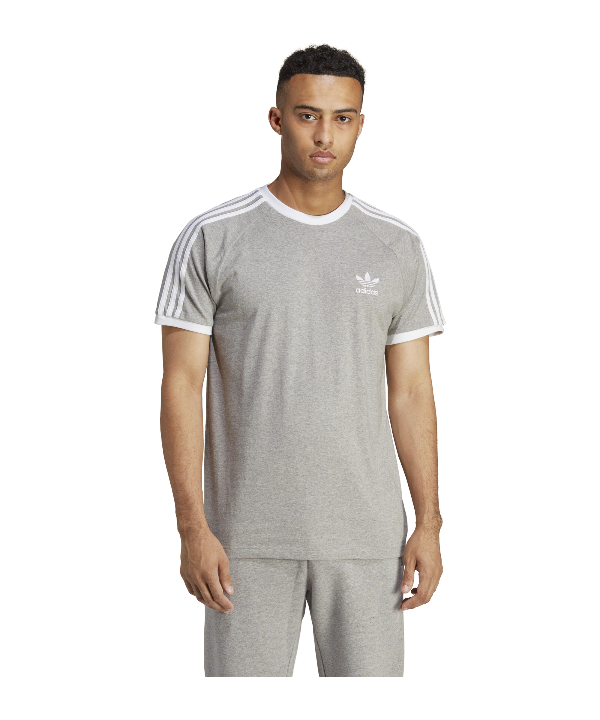 adidas Originals Adicolor Classics 3-Stripes Tee Grey - grau