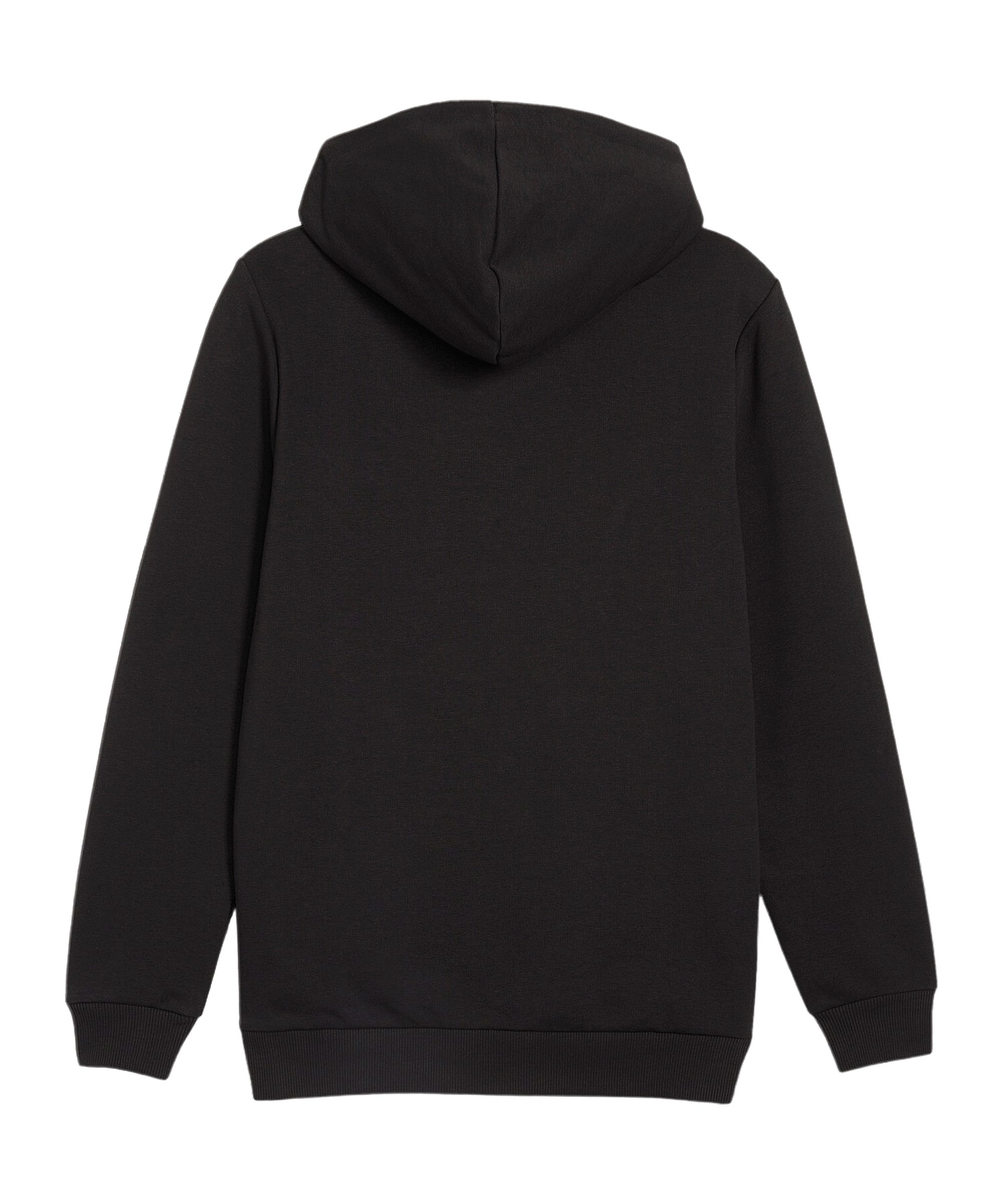 PUMA BVB Dortmund Ftbl ICONS Hoody Schwarz F03 - schwarz