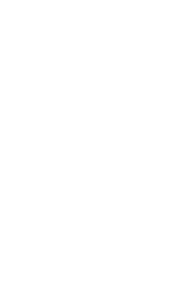 Star icon - for the first US world cup star in sight